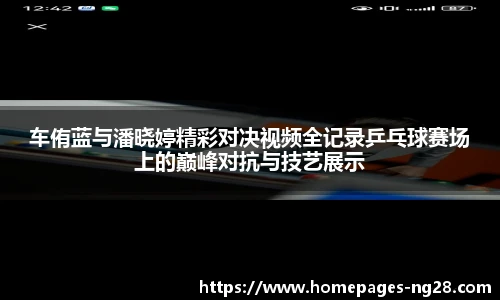 南宫NG28