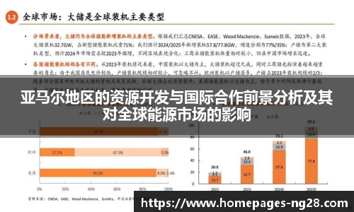 亚马尔地区的资源开发与国际合作前景分析及其对全球能源市场的影响